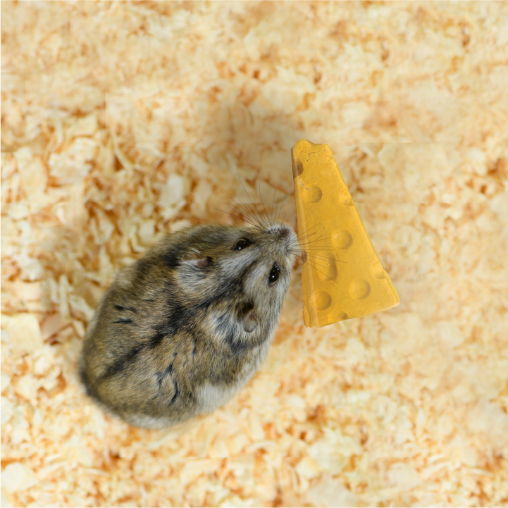 Ecotrition store cheese chews